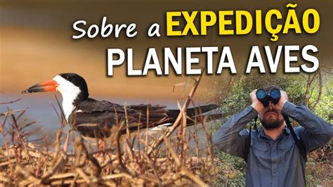 Bastidores Expedi O Planeta Aves Youtube