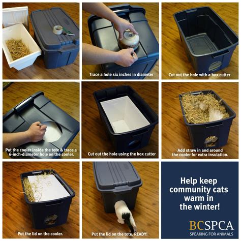 SA Feral Cat Coalition (@saferalcats) • Instagram photos and videos