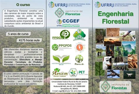 Curso De Engenharia Florestal