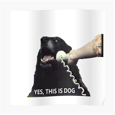 "Yes, this is Dog | Funny Meme" Poster for Sale by memeology69 | Redbubble