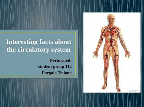 Interesting Facts About The Circulatory System Презентации Английский