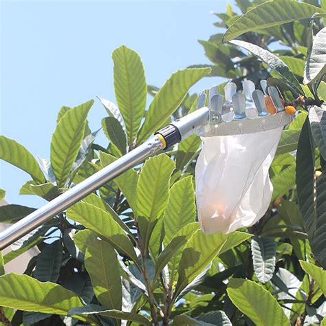 Fruit Picker Head Basket Not Sold In Stores