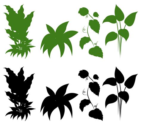 Design Png E Svg De Silhueta Fina Simples De Plantas Suculentas Para