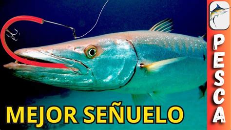 Una Arma Letal para Pescar Barracuda Descubre Como Hacer Este Señuelo