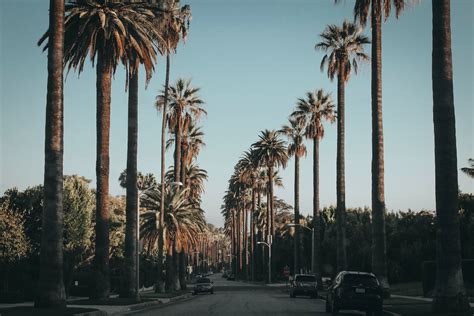 Beverly Hills Wallpapers - 4k, HD Backgrounds on WallpaperBat