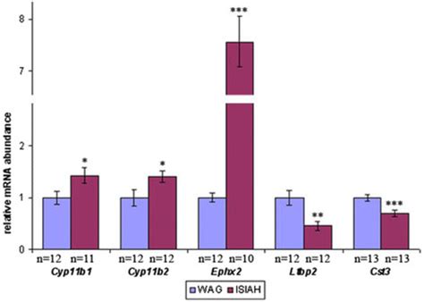 The Relative Mrna Abundance Measured By Qpcr The Relative Mrna