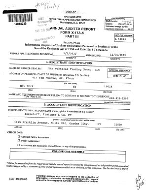 Fillable Online PUBLIC Fi NNUAL AUDITED REPORT FORM X 17A 5