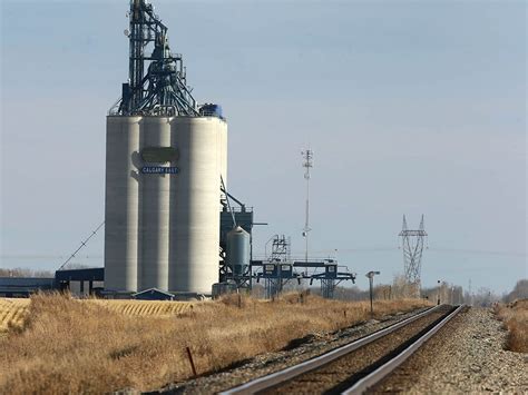 Bunge To Buy Viterra To Create Agricultural Giant Montreal Gazette