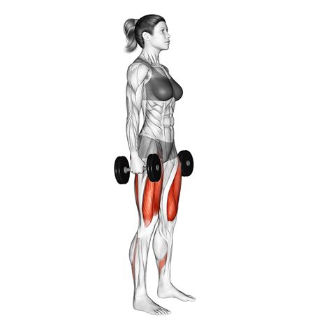 6 Best Dumbbell Squat Variations (with Pictures!) - Inspire US