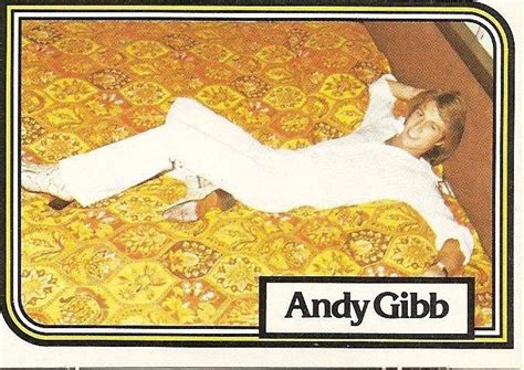 Pin By Sirley Ruy Dias On Andy Gibb Photos Andy Gibb Andy Barry Gibb