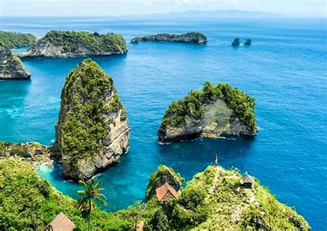 hours snorkeling trip manta bay gamat bay cristal bay west penida