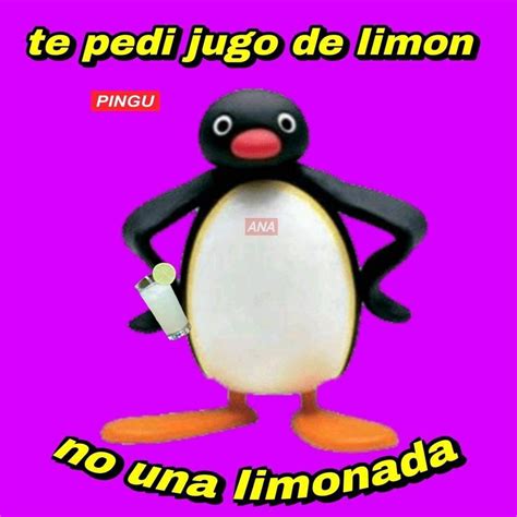 Pin De Zia Van Houten En Pingu Frases Memes Limonada Jugo De Limon