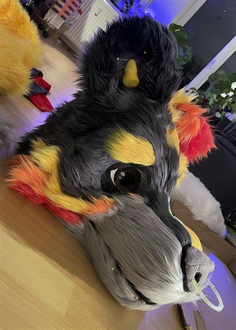 Fursuit Progress On Lucy Rfursuitmaking