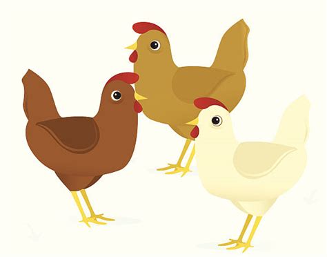 Three French Hens Illustrations, Royalty-Free Vector Graphics & Clip Art - iStock