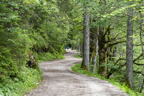 Wanderung Um Den Vorderen Gosausee Rauf Und Davon