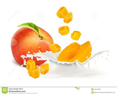 Peach Slices Falling To Milk Stock Vector Illustration Of Milk Leaf