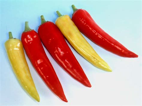 Hot Pepper ZESY Known You Seed America