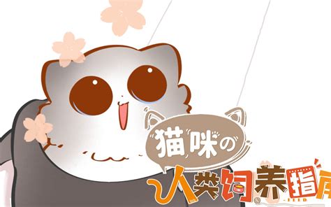 猫咪的人类饲养指南 动态漫第34集 国创 全集 高清正版在线观看 Bilibili 哔哩哔哩