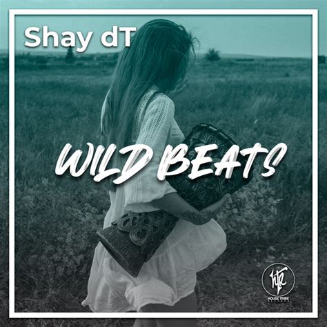 Wild Beats Single By Shay Dt Spotify