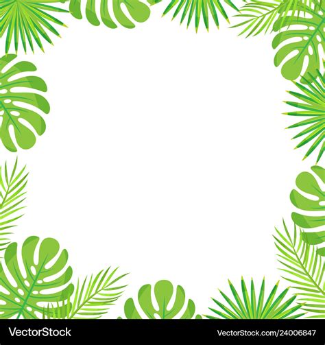 Tropical leaves border isolated green palm leaves Vector Image