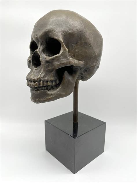 Sculpture Bronze Skull Bronze Marble Catawiki