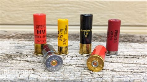 Shotgun Shot Size And Shells Explained What To Use When