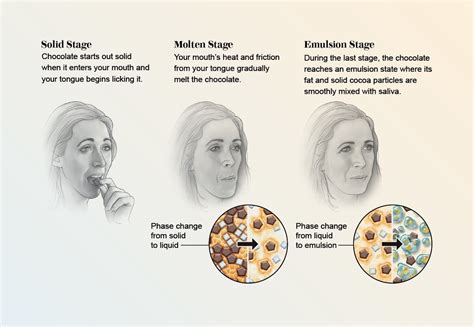 The Science of Melting Chocolate | Scientific American