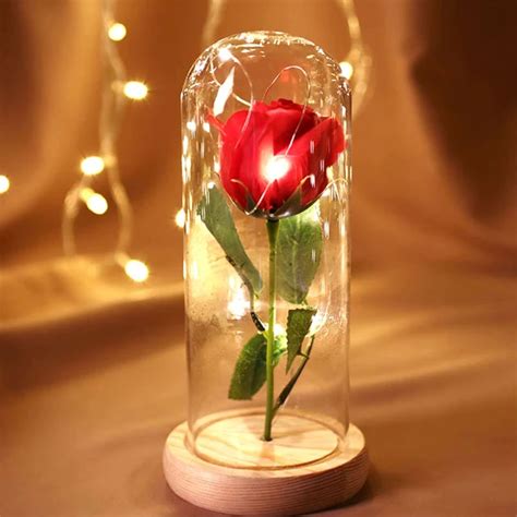 Preserved Fresh Flower Rose Glass Cover Romantic Glass Immortal Flower Valentine S Day T