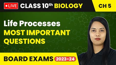 Life Processes Most Important Questions Class 10 Biology Chapter 5 Live Youtube