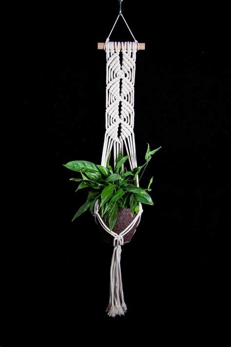 Macrame Plant Hanger Wall Plant Hanger Hanging Planter Plant Etsy