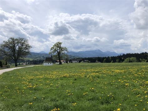 Mountainbike Maienrunde Traunstein Vorauf Hochberg Traunstein Tour