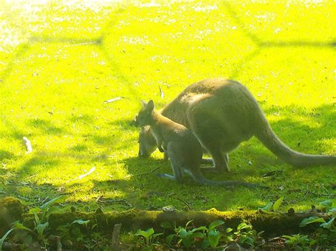 Sortie Chez Dame Nature Meslan Ecole Maternelle Et Elementaire