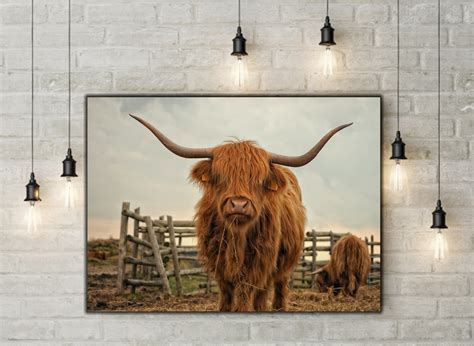 Highland Cow Wall Art Highland Cow Canvas Wall Art Canvas - Etsy Canada