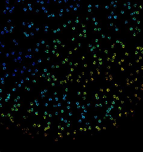 Nuclear Pores In U Os Cells Abbelight