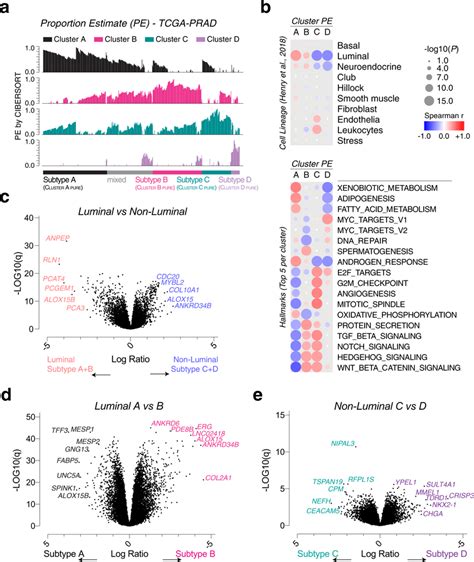 Transcriptomic Characteristics Of Prostate Cancer Molecular Subtypes A