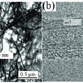 Scanning Electron Microscopy A And High Resolution Electron