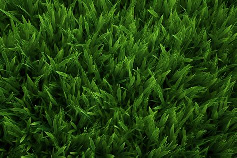 Grass Background Graphic by Forhadx5 · Creative Fabrica