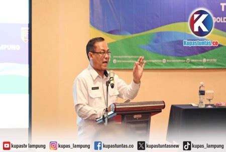 Kupas Tuntas 13 429 Badan Usaha Se Lampung Ikut Paritrana Award