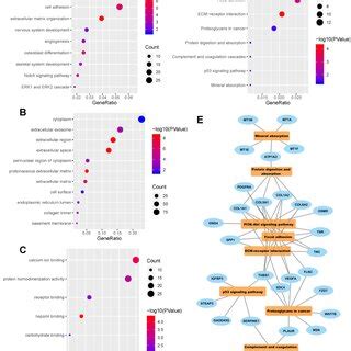 Ac GO Enrichment Analysis Of DEGs BP CC MF D KEGG Pathway