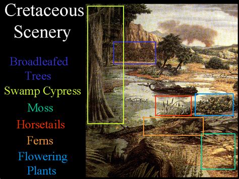 Late Cretaceous Plants