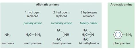 Amines Chemistry A Level Revision