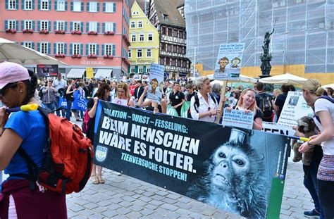 Protest Gegen Tierversuche In Tübingen Gezielte Einschüchterung Von