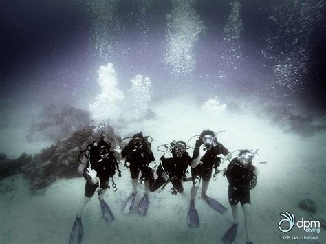 Dpm Diving Koh Tao All You Need To Know Before You Go