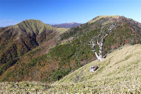 素晴らしき Mountain ＆ Flower By Yamatake 四国遠征①四国剣山～次郎岌～奥祖谷かずら橋（徳島県）