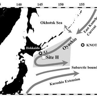 Current systems (arrowed) and the Oyashio region (shaded) in the ...