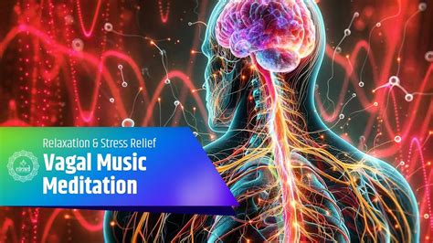 Vagal Music Meditation Stimulate The Vagus Nerve For Relaxation And