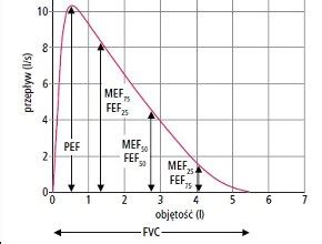 Zasady Interpretacji Spirometrii Spirometria Spirometria Medycyna