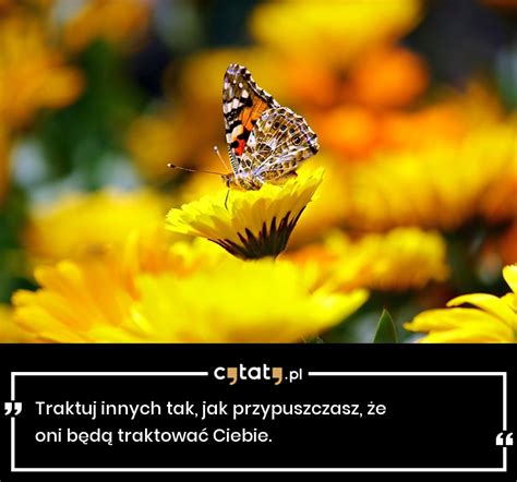 Cytat Traktuj Innych Tak Jak Przypuszczasz E Oni B D Traktowa