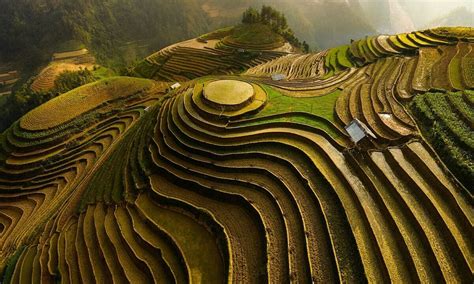 Saudi Arabia Rice Terraces at Tanninablog Blog