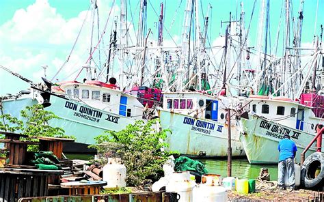 Decae La Producci N Pesquera En El Estado El Sol De Tampico